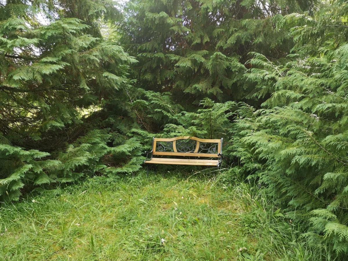 Bed and Breakfast La Montagne Sud Allemans Exterior foto