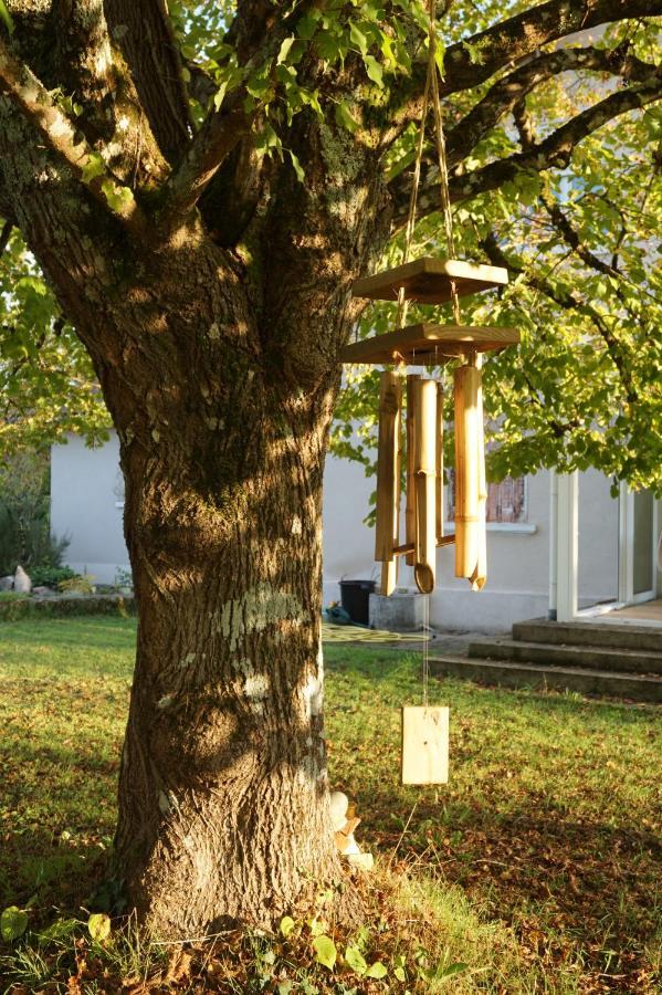 Bed and Breakfast La Montagne Sud Allemans Exterior foto